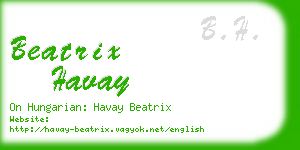 beatrix havay business card